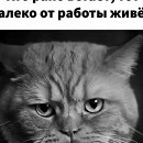 Аватар
