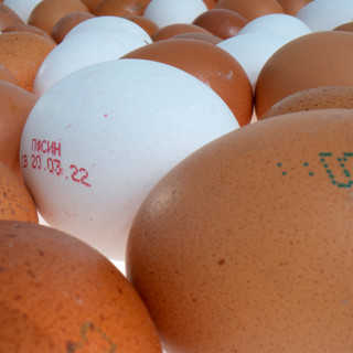 Как выбирать яйца на Пасху