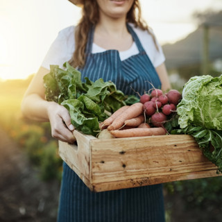 Какие продукты готовить в начале лета