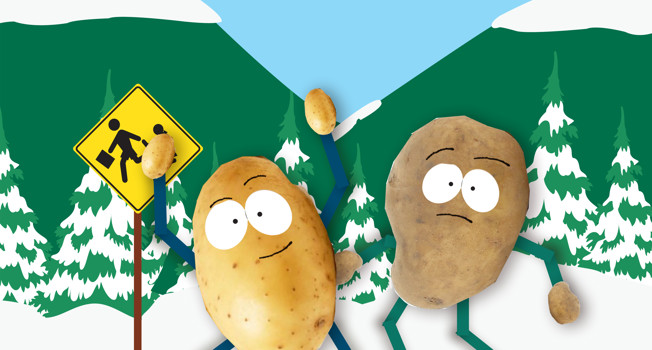 Восемнадцать вопросов про картошку фото