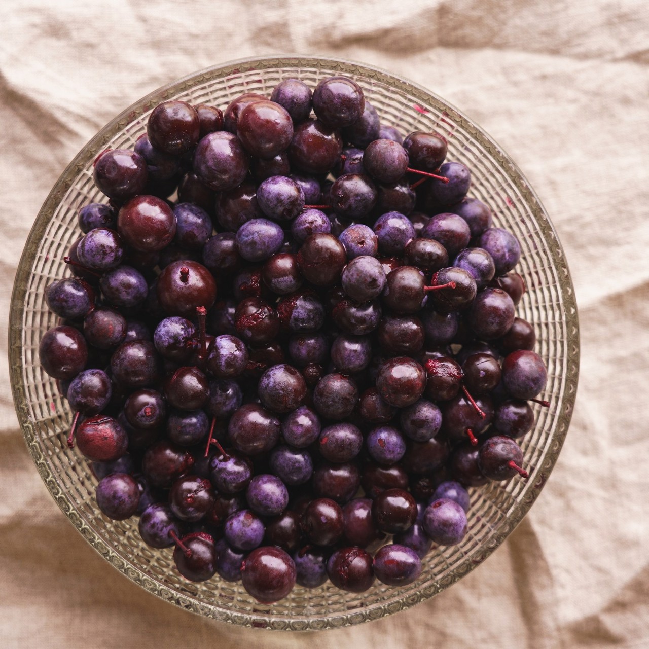 Липецкие маслины