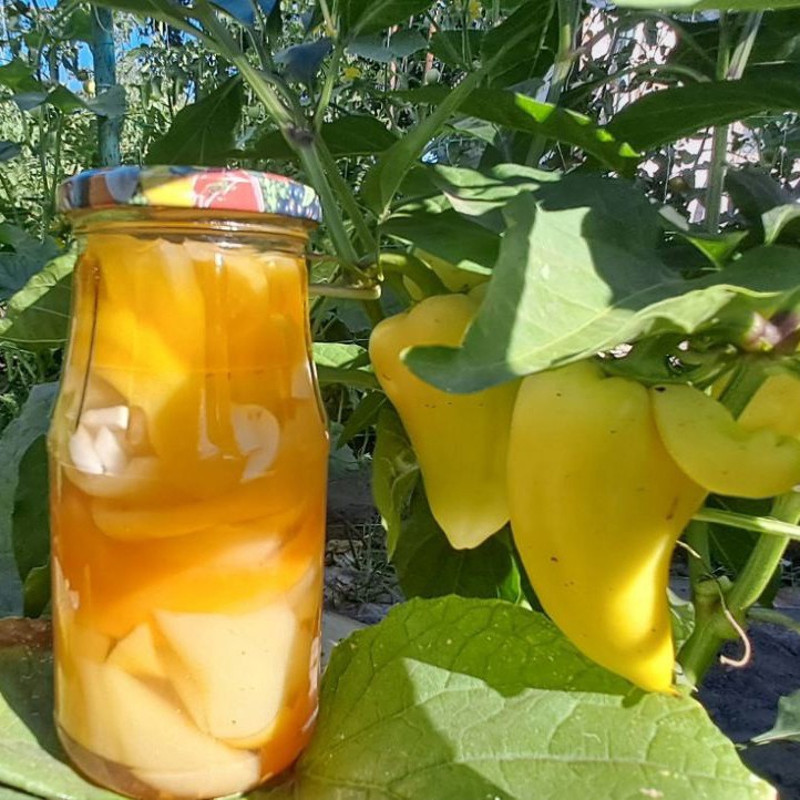 Сладкий перец на зиму