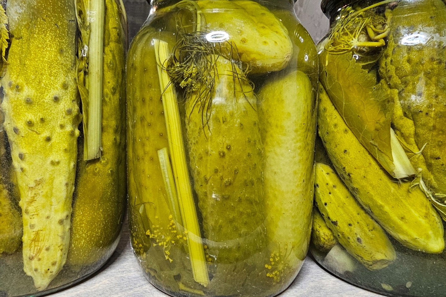 Огурцы, маринованные с листьями дуба и смородины