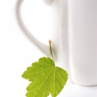 Летний черный чай со смородиновым листом