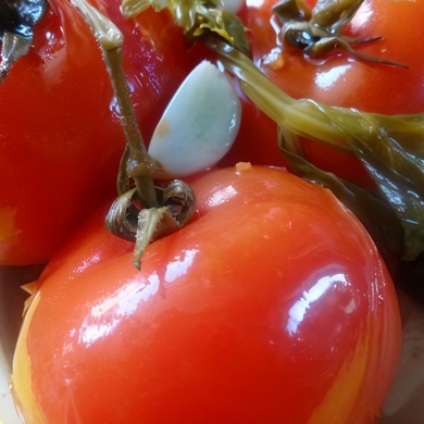 Соленые помидоры на зиму, пошаговый рецепт с фото на 55 ккал