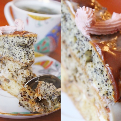 Торт с маком, 26 рецептов приготовления с фото пошагово