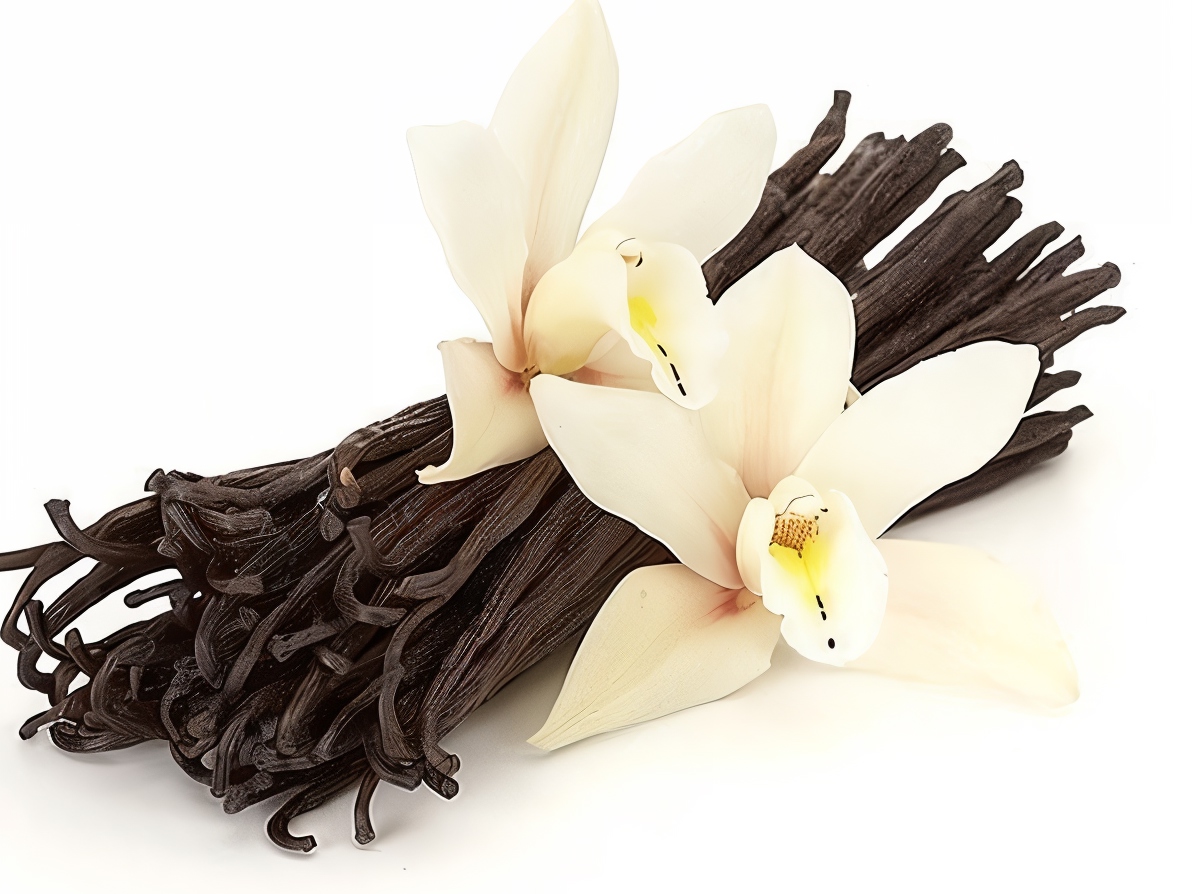 English Vanilla Cream with Cinnamon