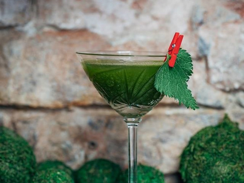 Nettle Delight