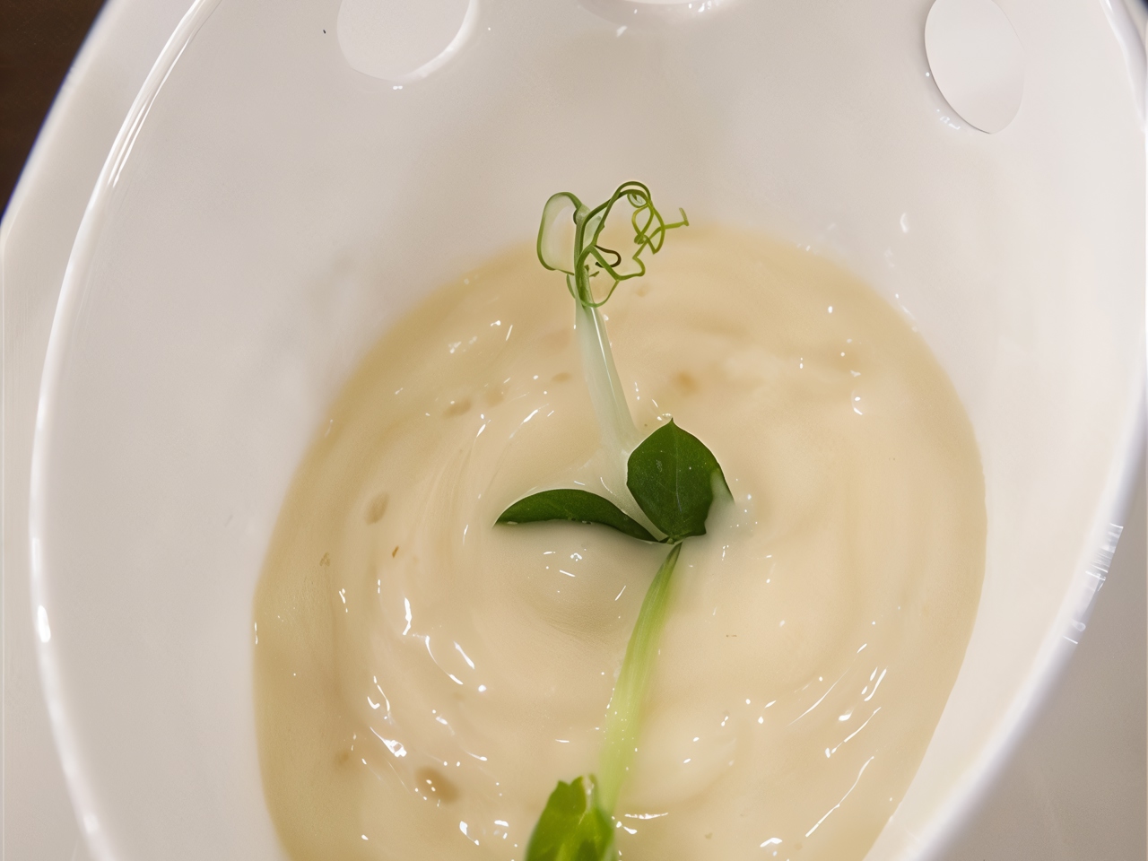 Garlic Mayonnaise