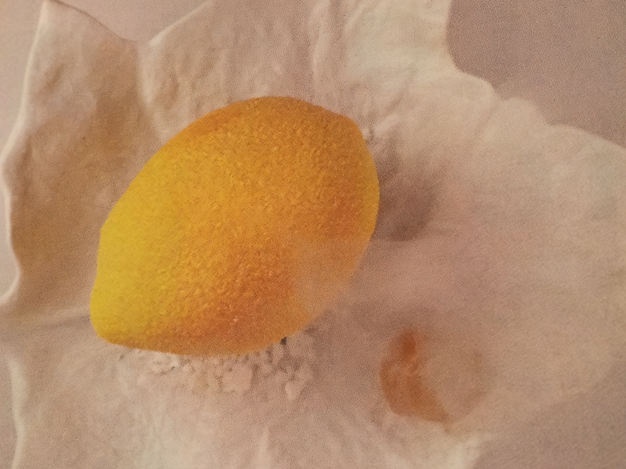 Lemon Dessert