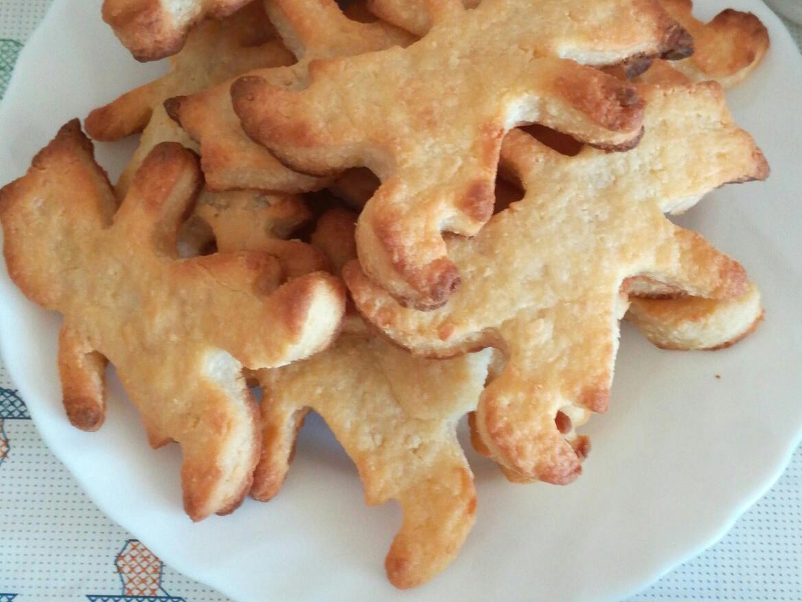 Children's Cottage Cheese Cookies