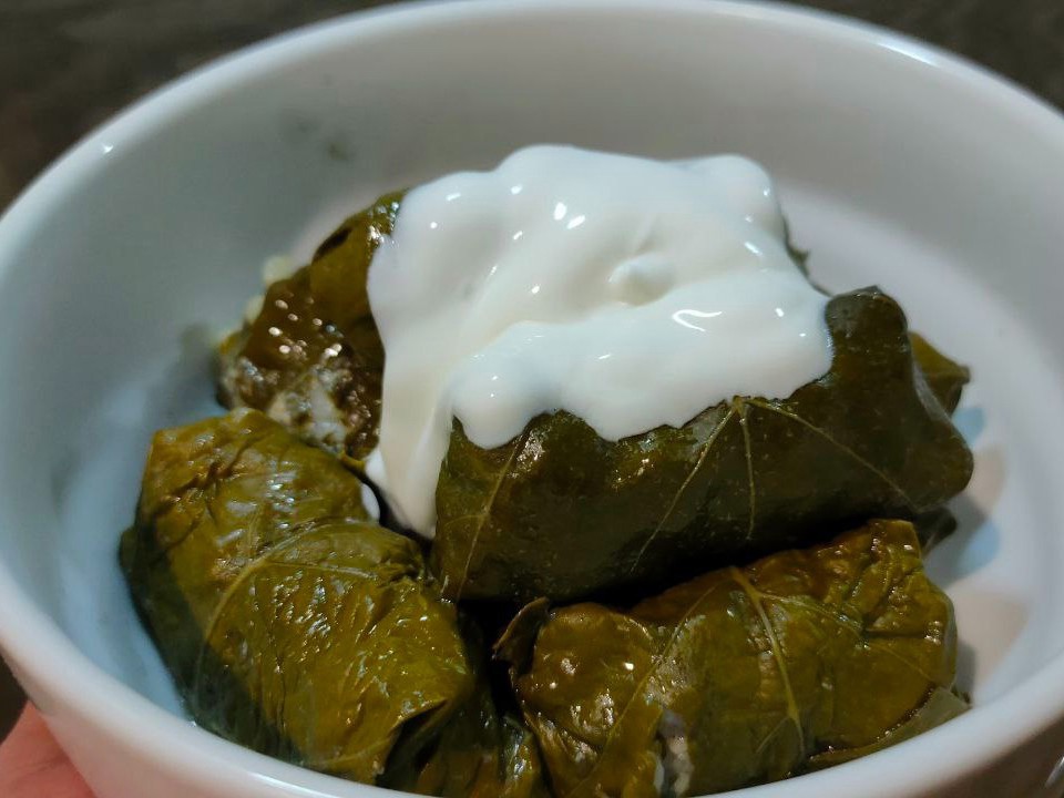 Dolma in Grape Leaves