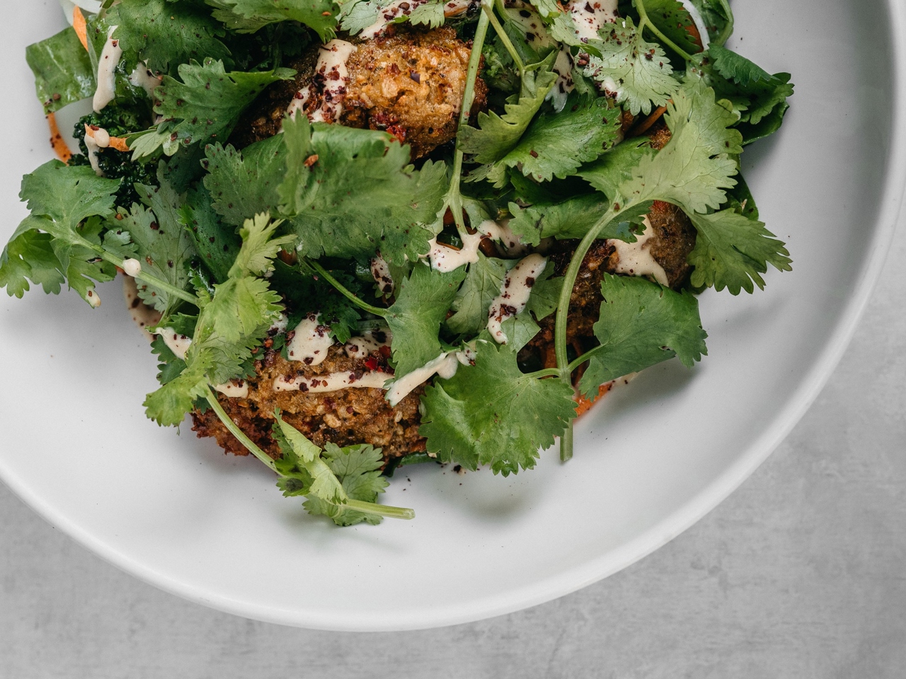 Falafel with Sorrel and Cabbage Salad and Hummus Sauce