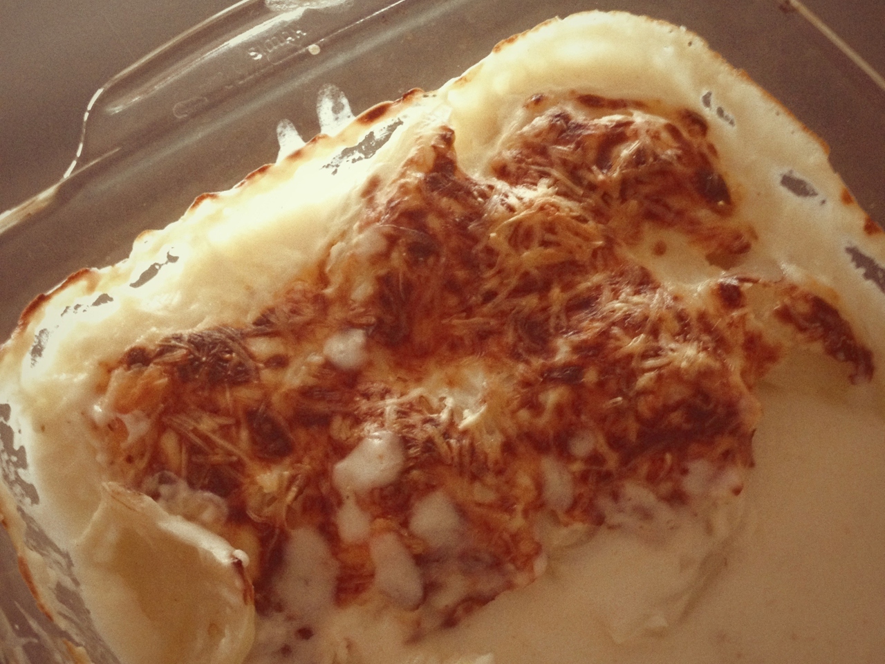 Fennel in Béchamel Sauce with Parmesan