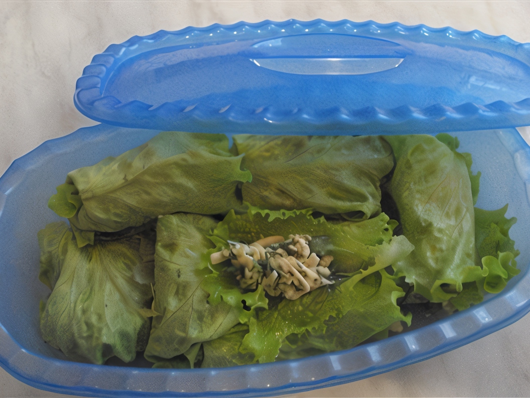 Cabbage Rolls with Fresh Lettuce Leaves and Cheese