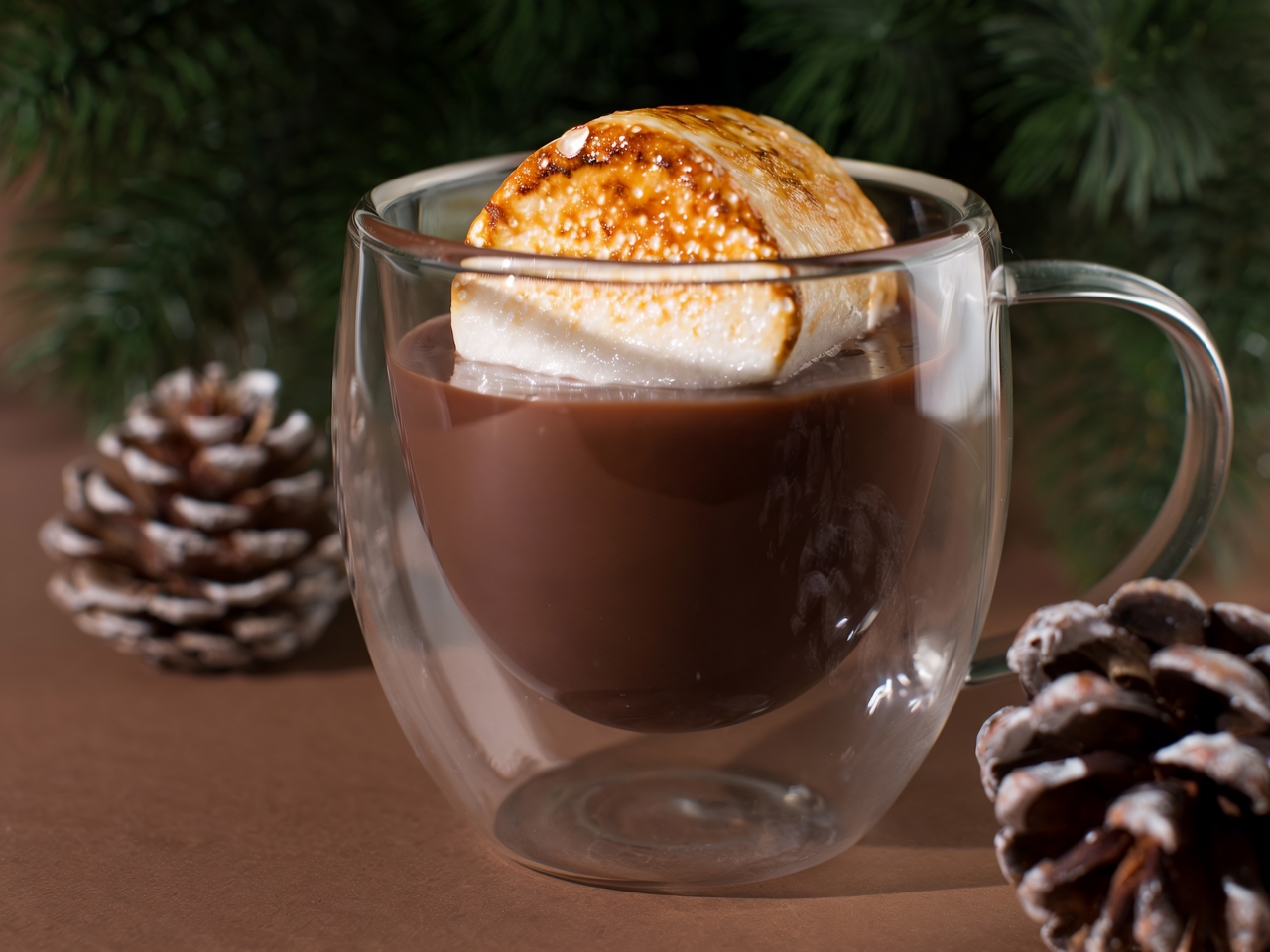 Hot Chocolate with Marshmallows