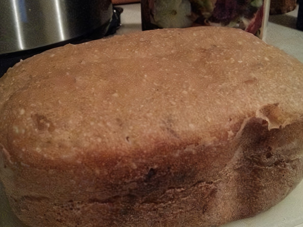 Sourdough Bread