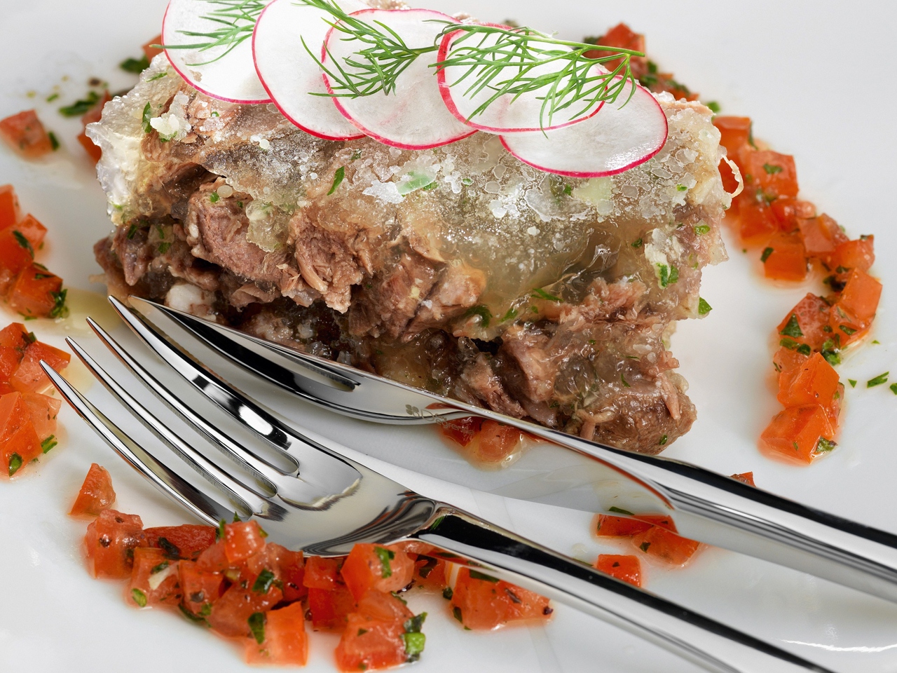 Aspic with Radish Salad and Tomato Salsa