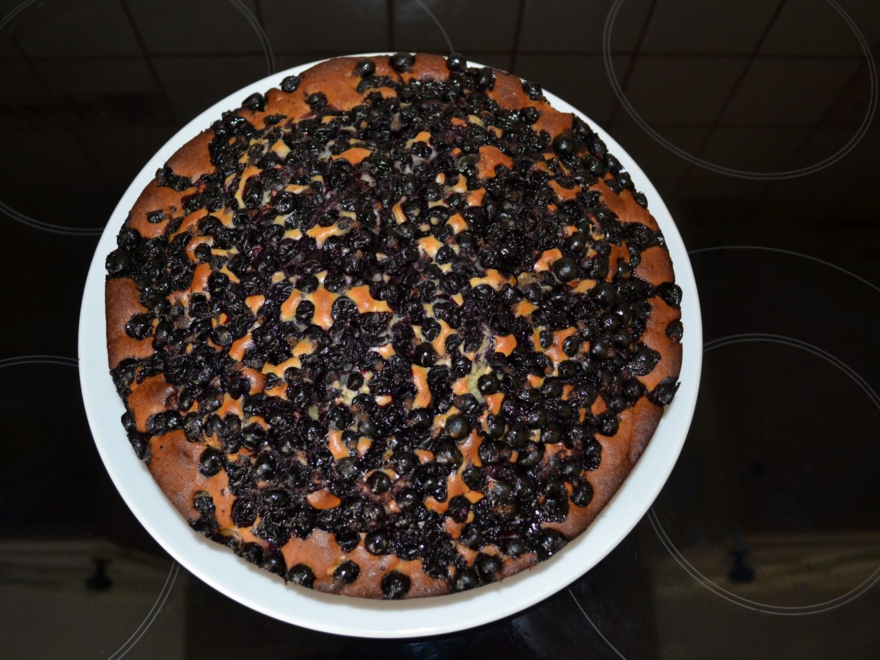 Yogurt Cake with Black Currants