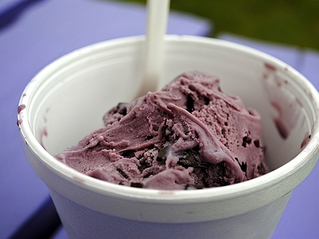 Yogurt Raspberry Ice Cream with Chocolate Chips