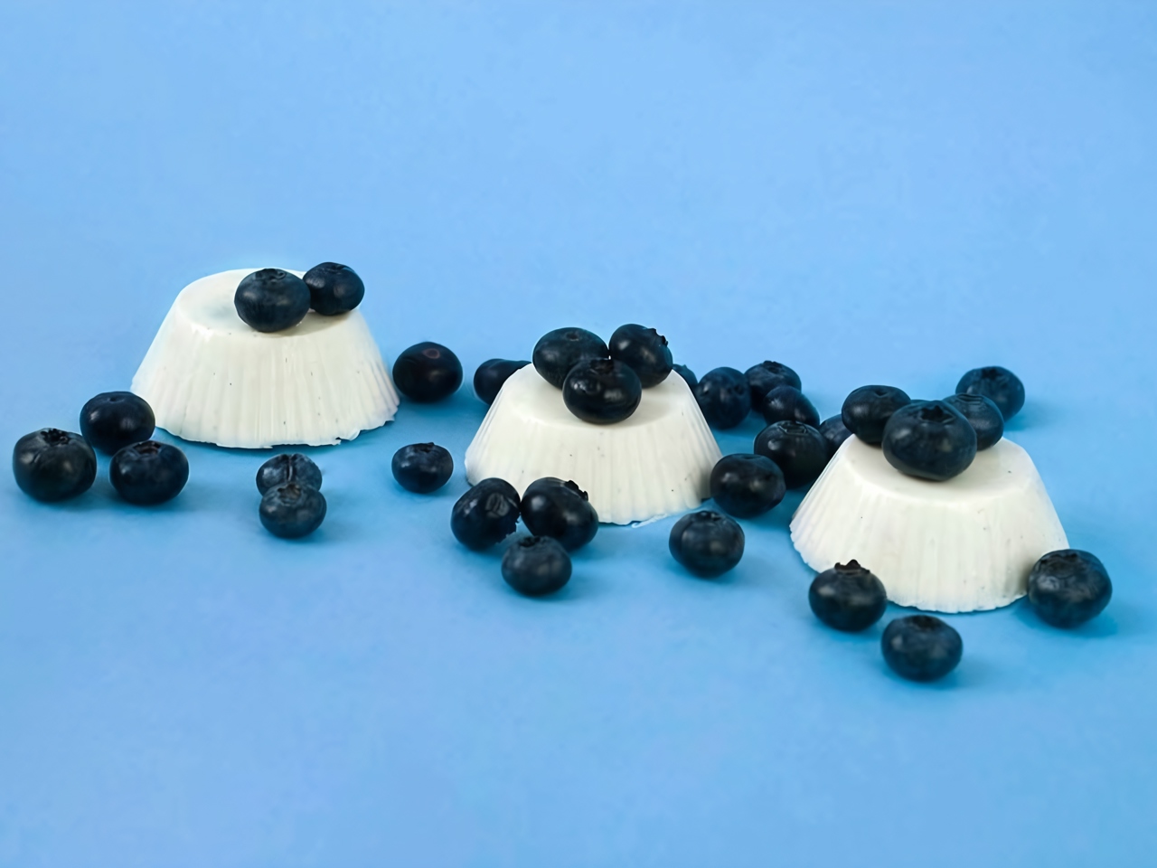 Coconut Panna Cotta (Vegan Version)