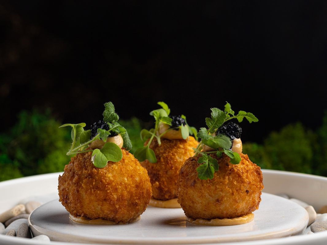 Pike Perch Croquettes