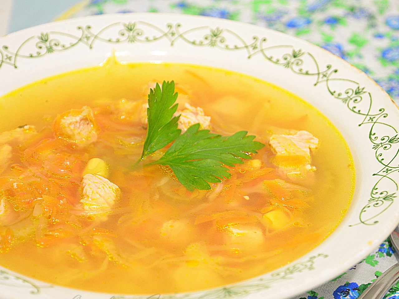 Chicken Soup with Vegetables and Sour Cream