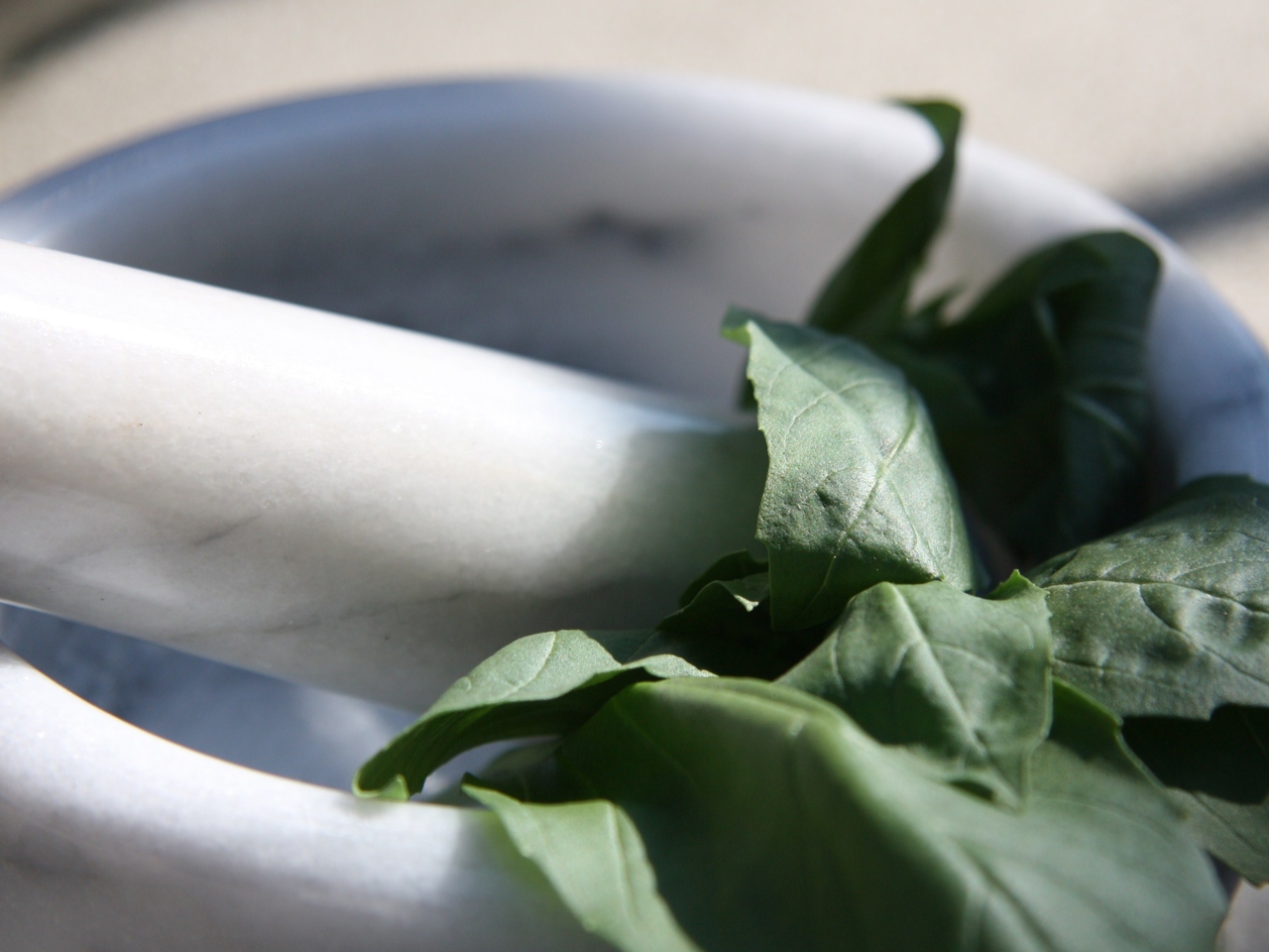 Liguria Pesto Sauce