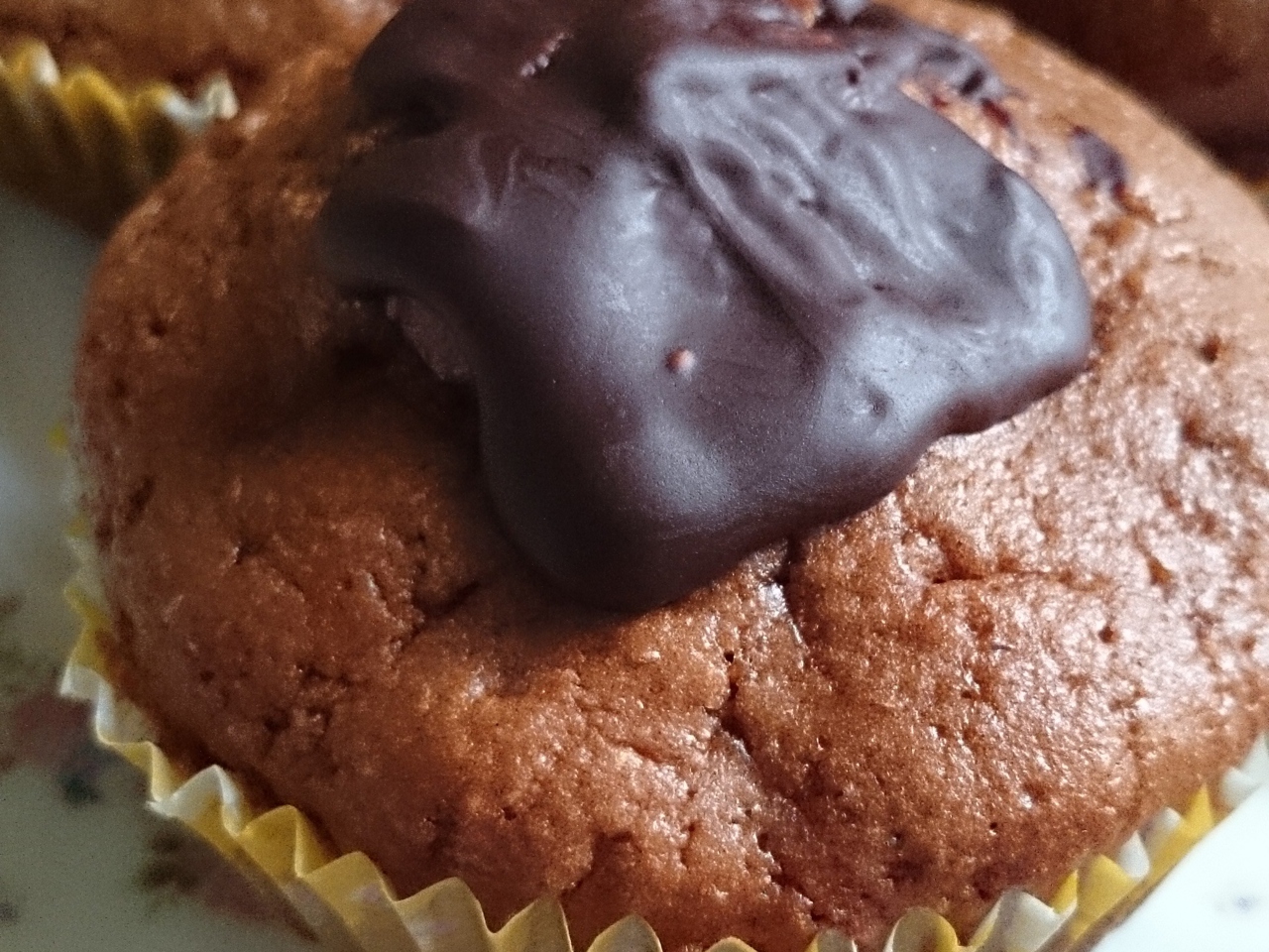 Double Chocolate Muffins