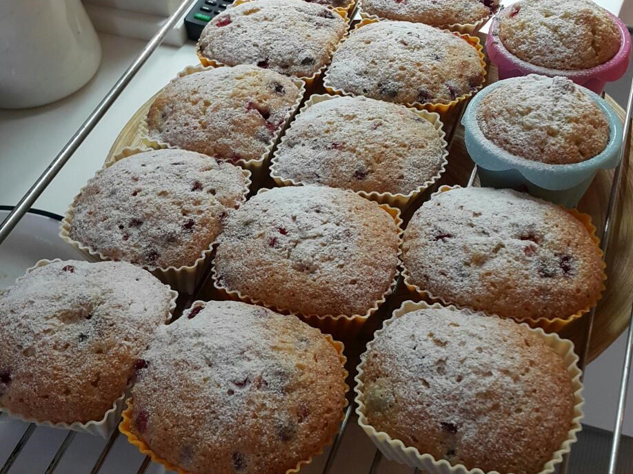 Cranberry Muffins
