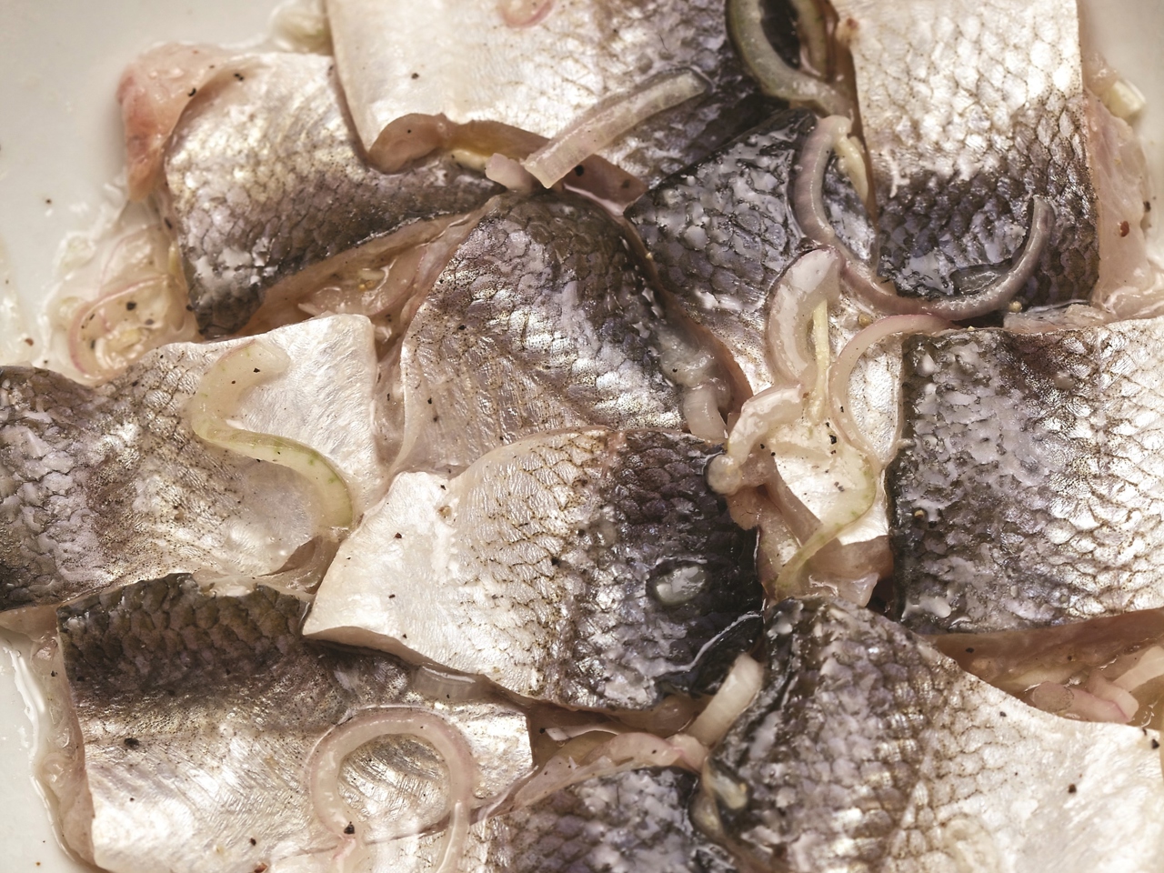 Lightly Salted Fish (Sugudai)