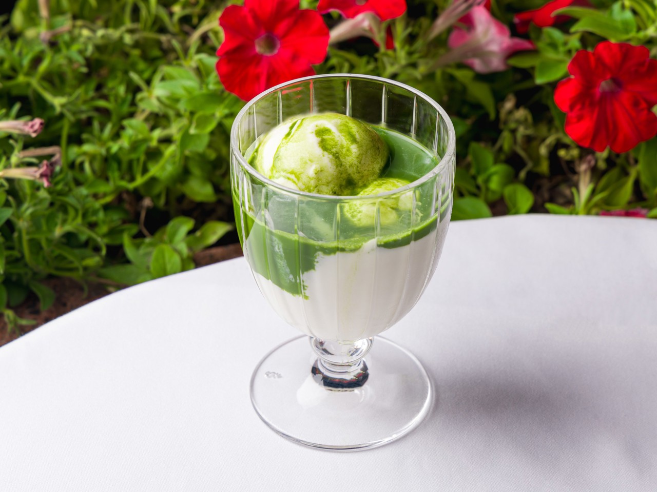 Matcha Gato