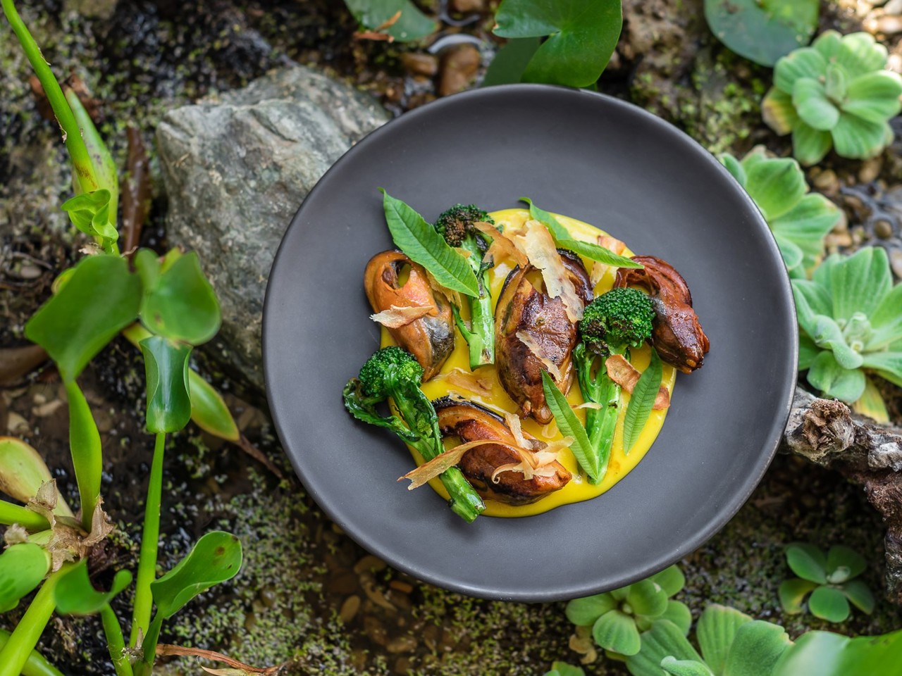 Mussels with Lemon Zest Sauce