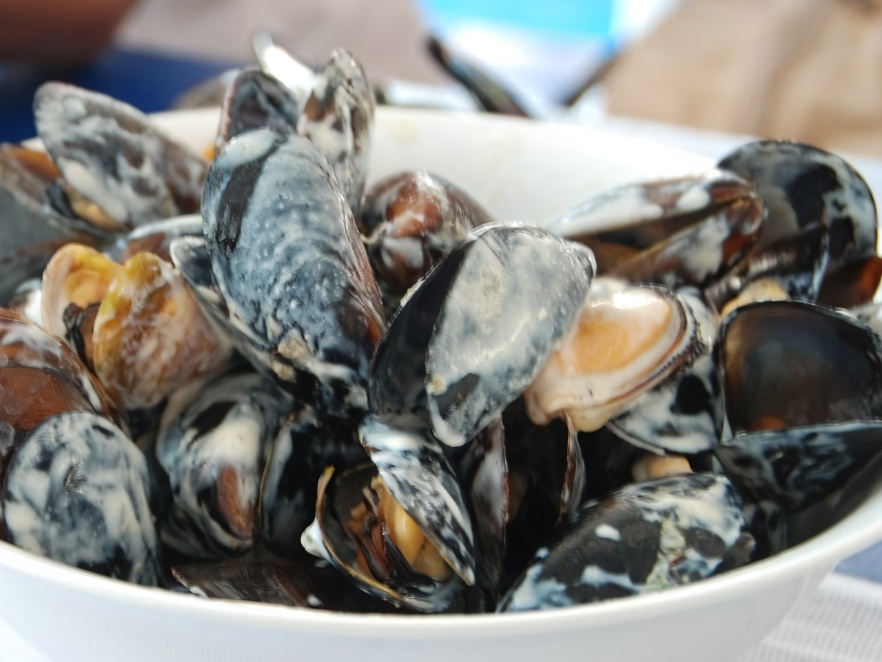 Mussels in Cream Sauce