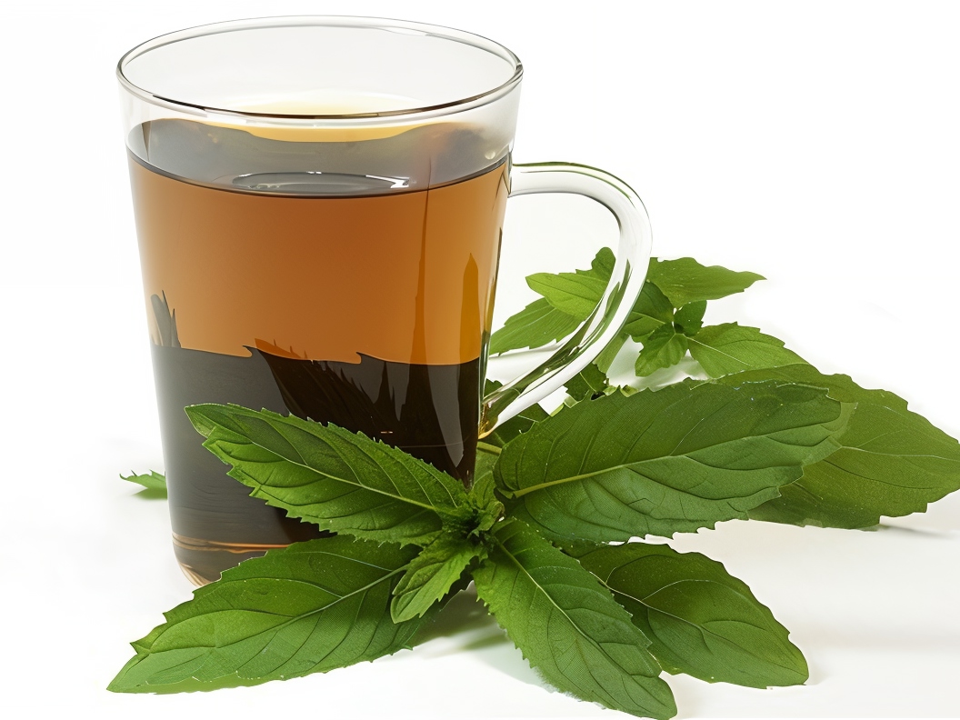 Mint Herbal Tea