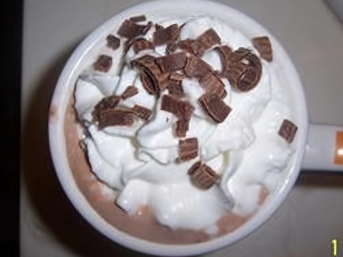 Mint Chocolate Toddy