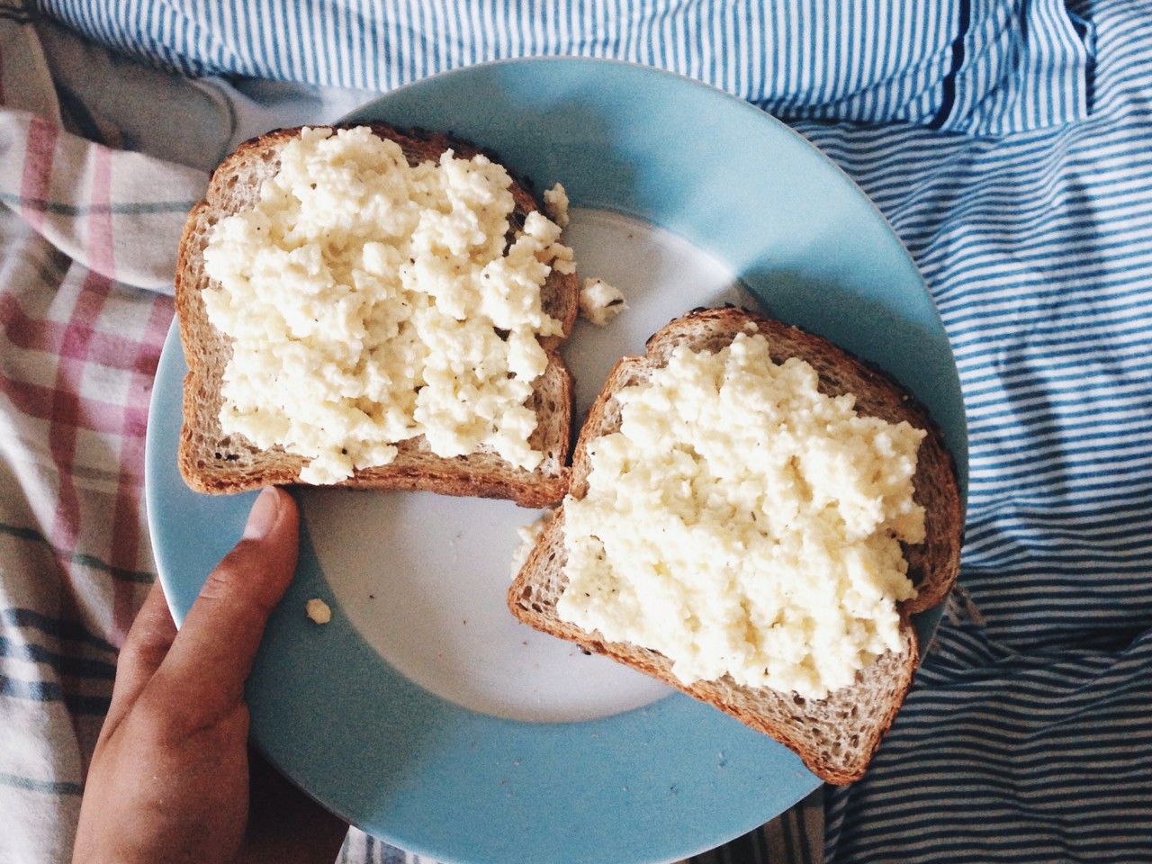 Tender Omelette with Toasts