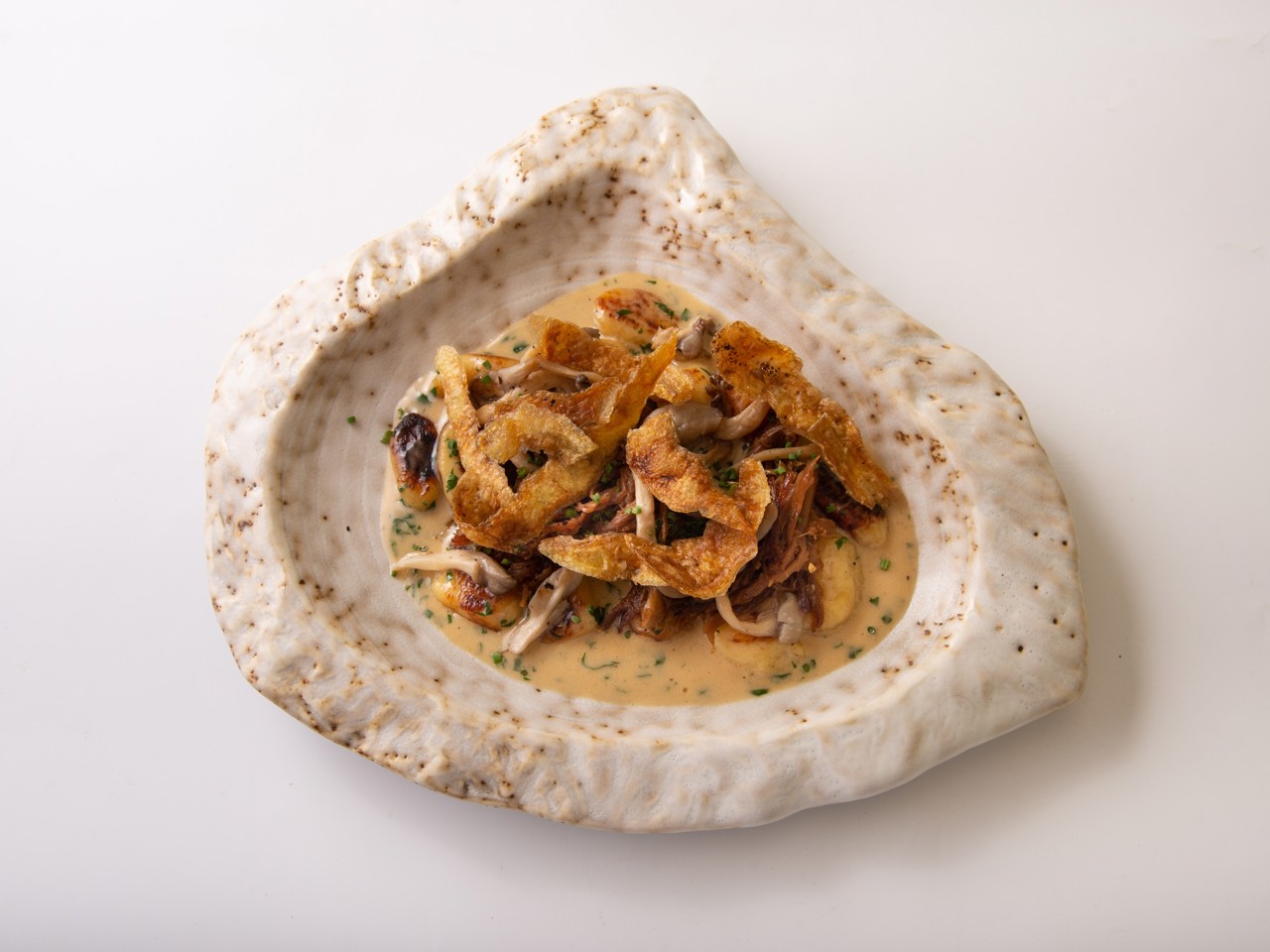 Gnocchi with Dried Duck and Wild Mushrooms