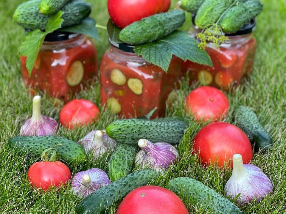 Cucumbers in Tomato Brine