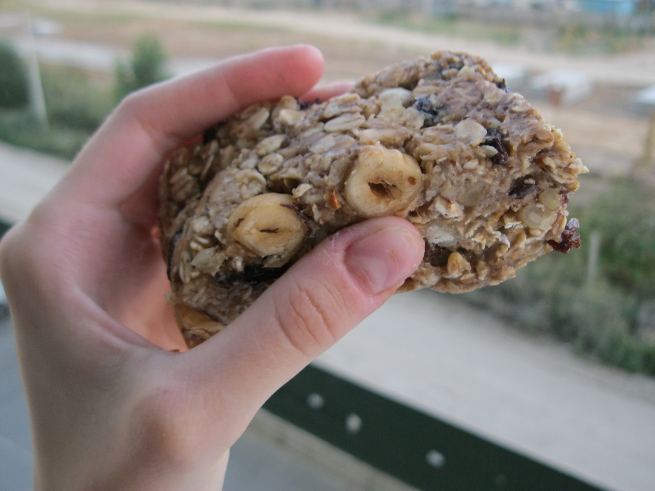 Nut Protein Bars