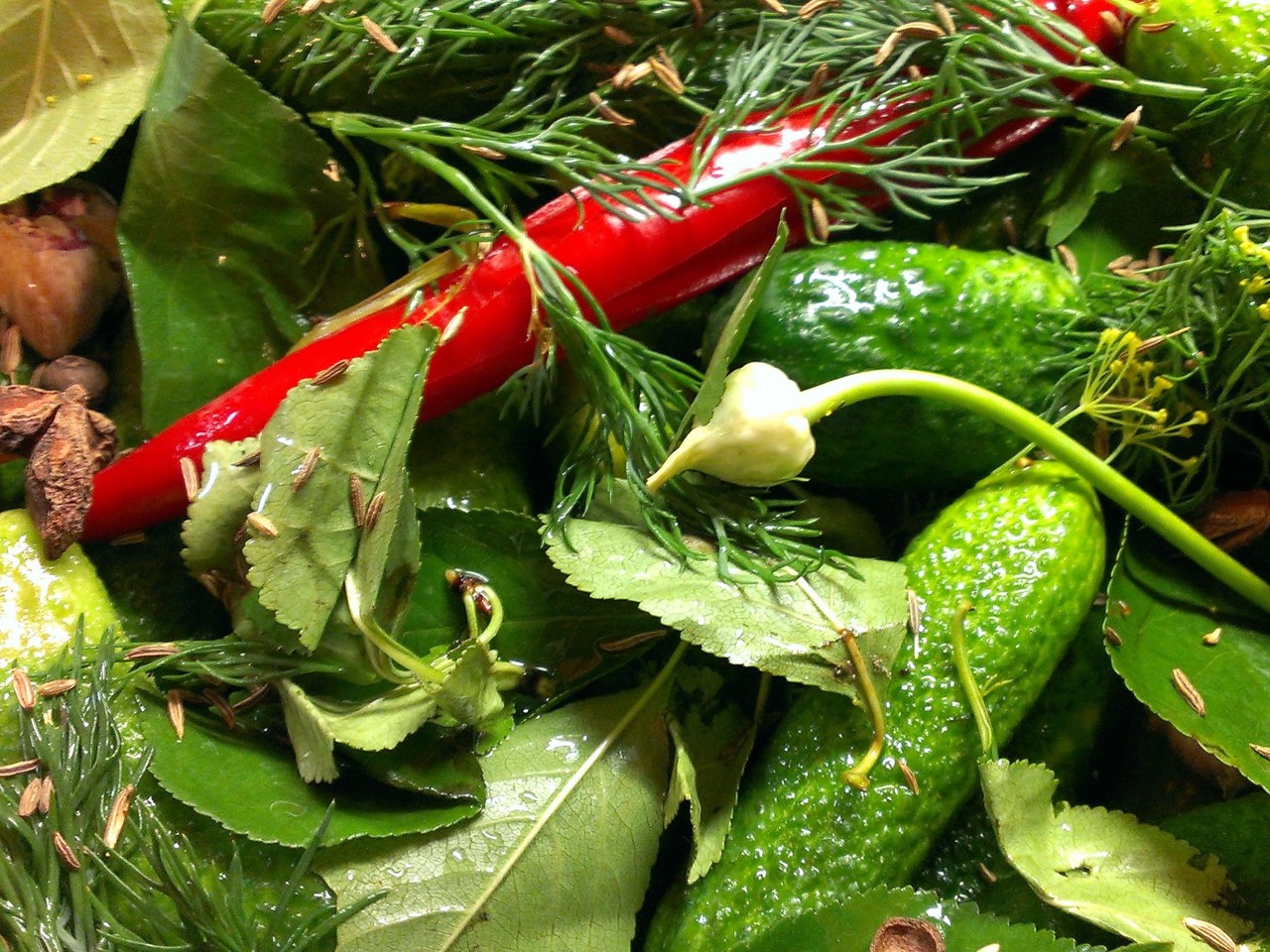 Spicy Quick Pickles with Vodka