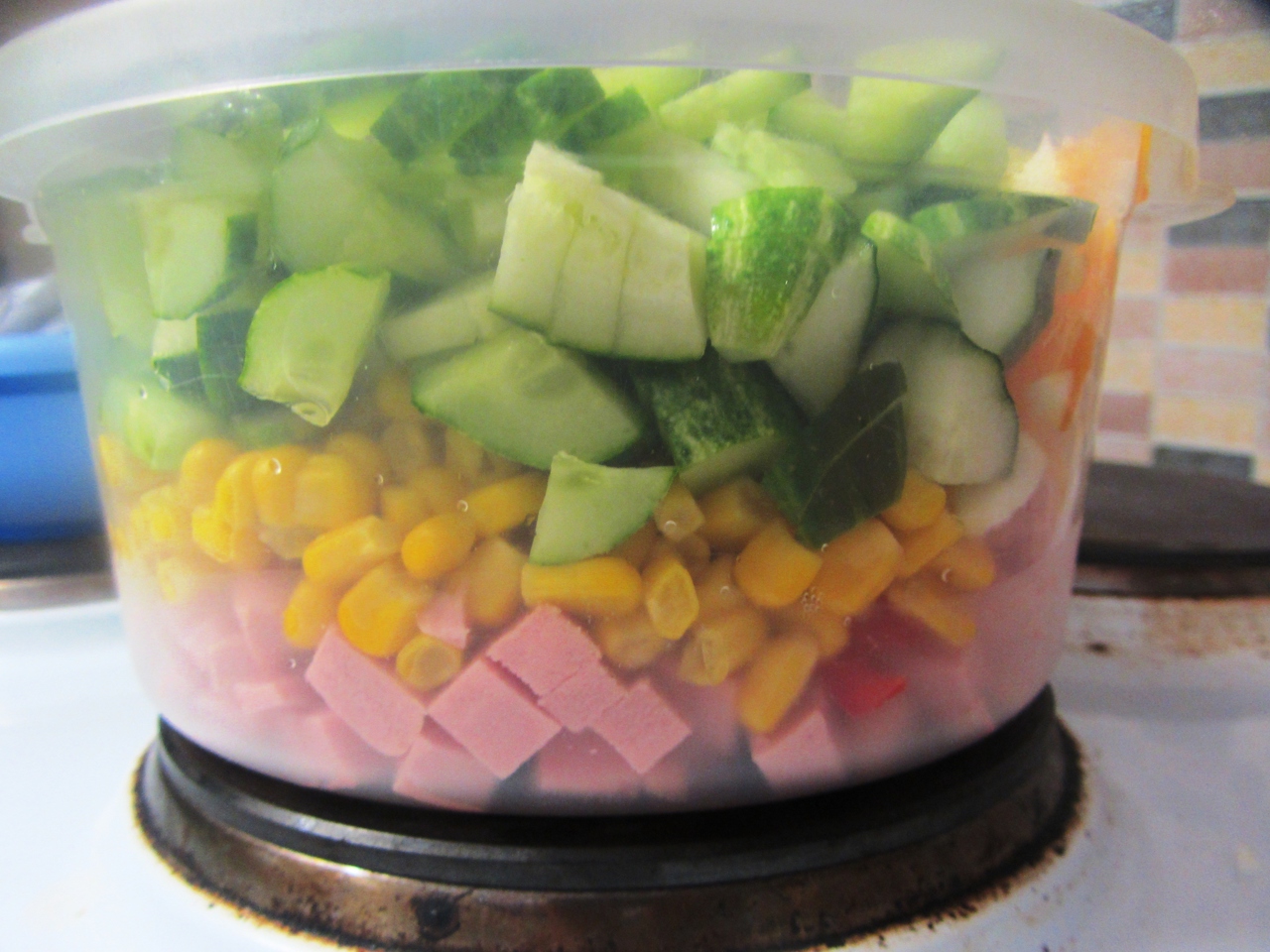 Vegetable Salad with Carbonade