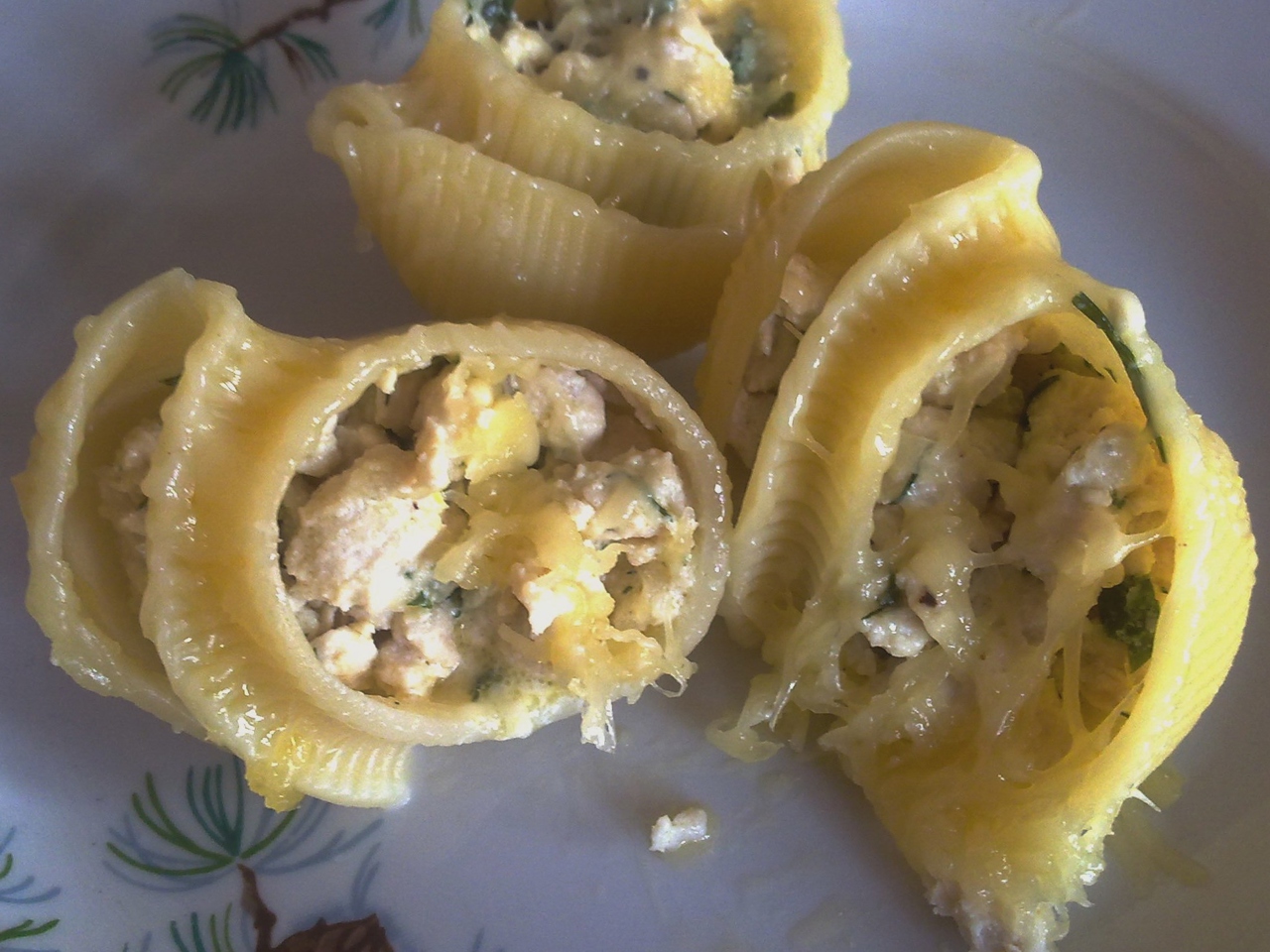 Pasta Stuffed with Chicken