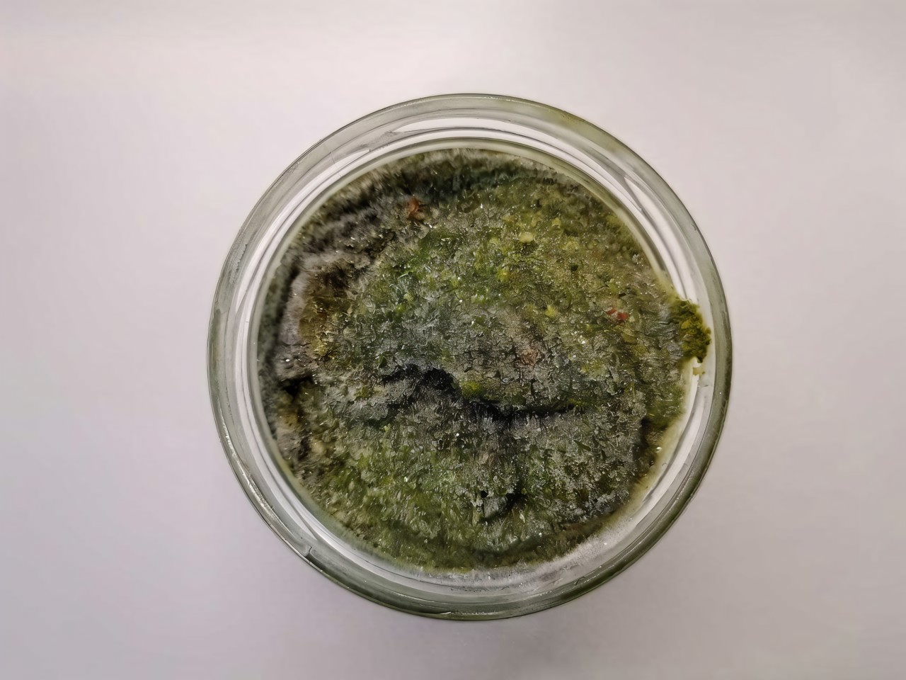 Kale and Nut Pesto