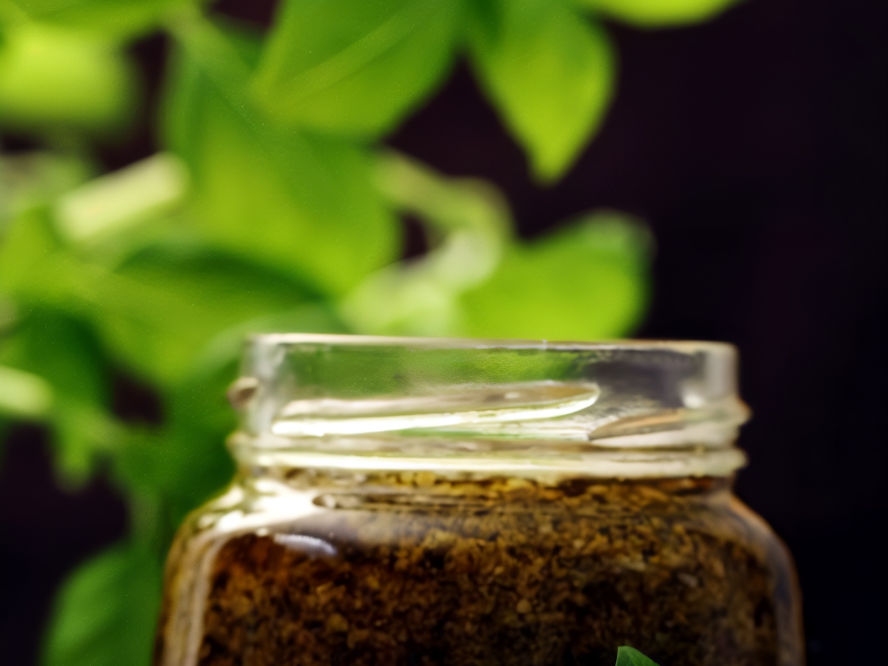 Leek Pesto with Lemon Zest