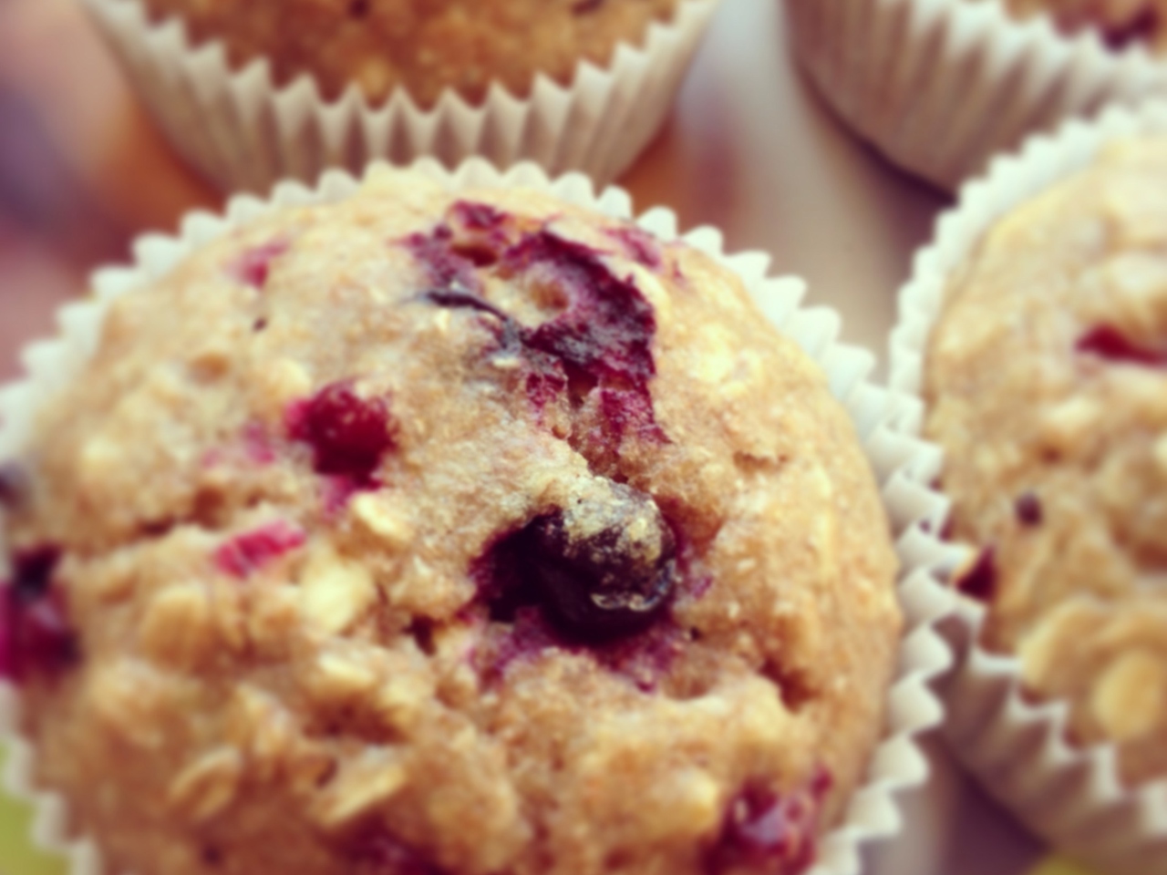 Vegan Oatmeal Muffins with Red Currants