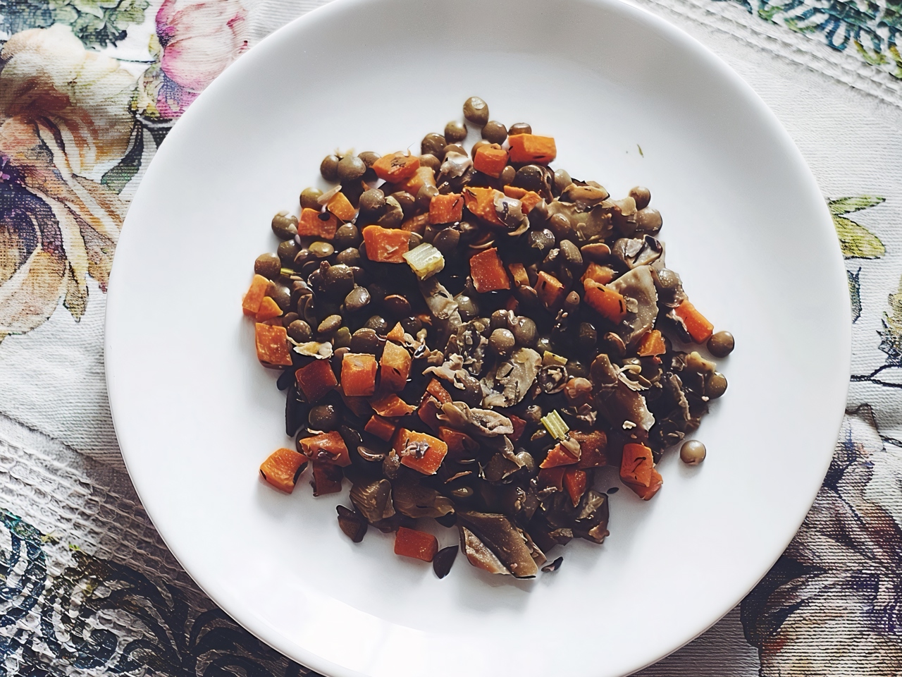 Lentil and Porcini Mushroom Stew