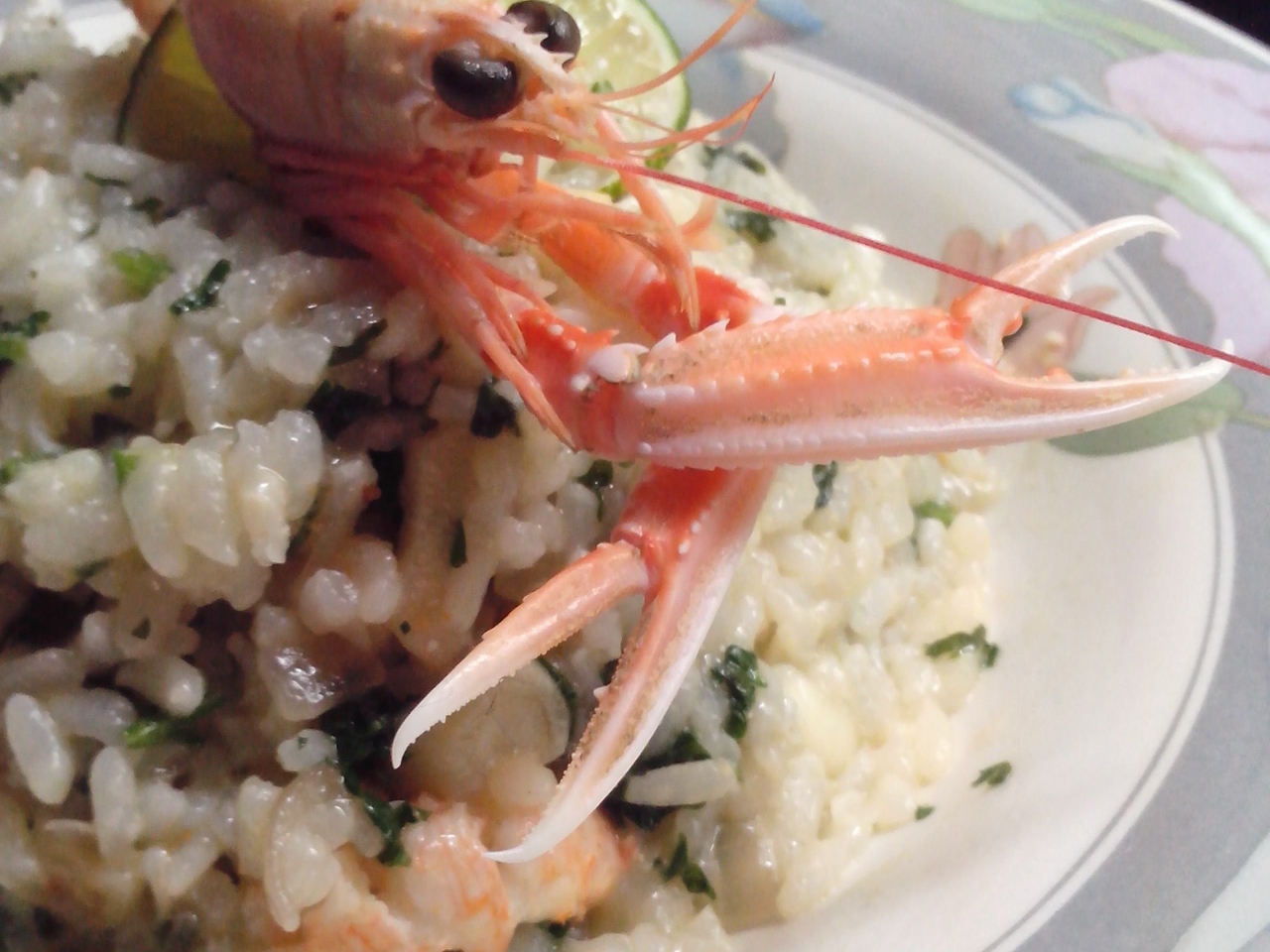 Seafood Risotto