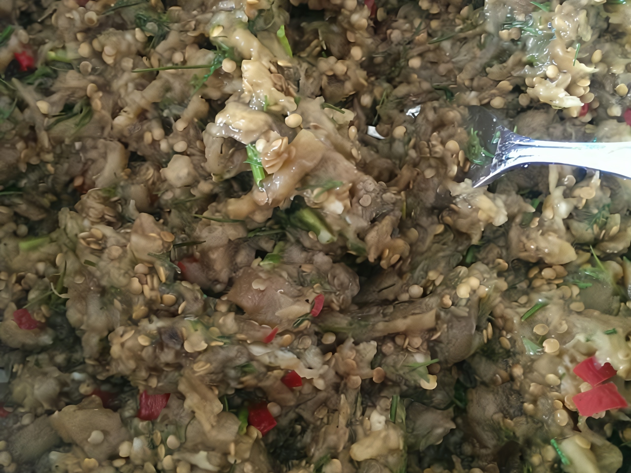 Turkish Eggplant Salad