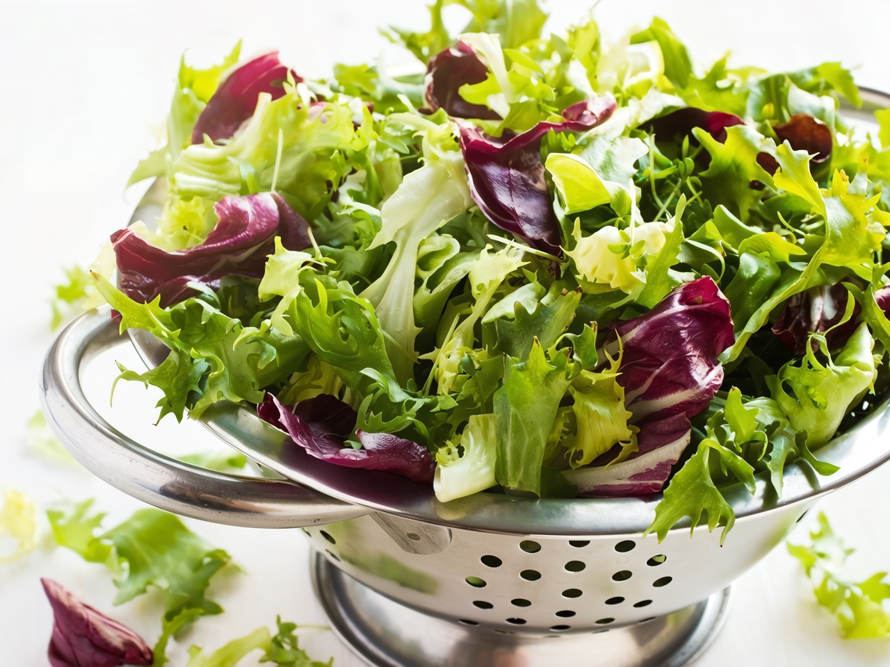 Mixed Lettuce Salad